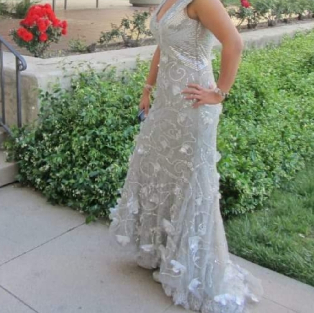Silver Dress